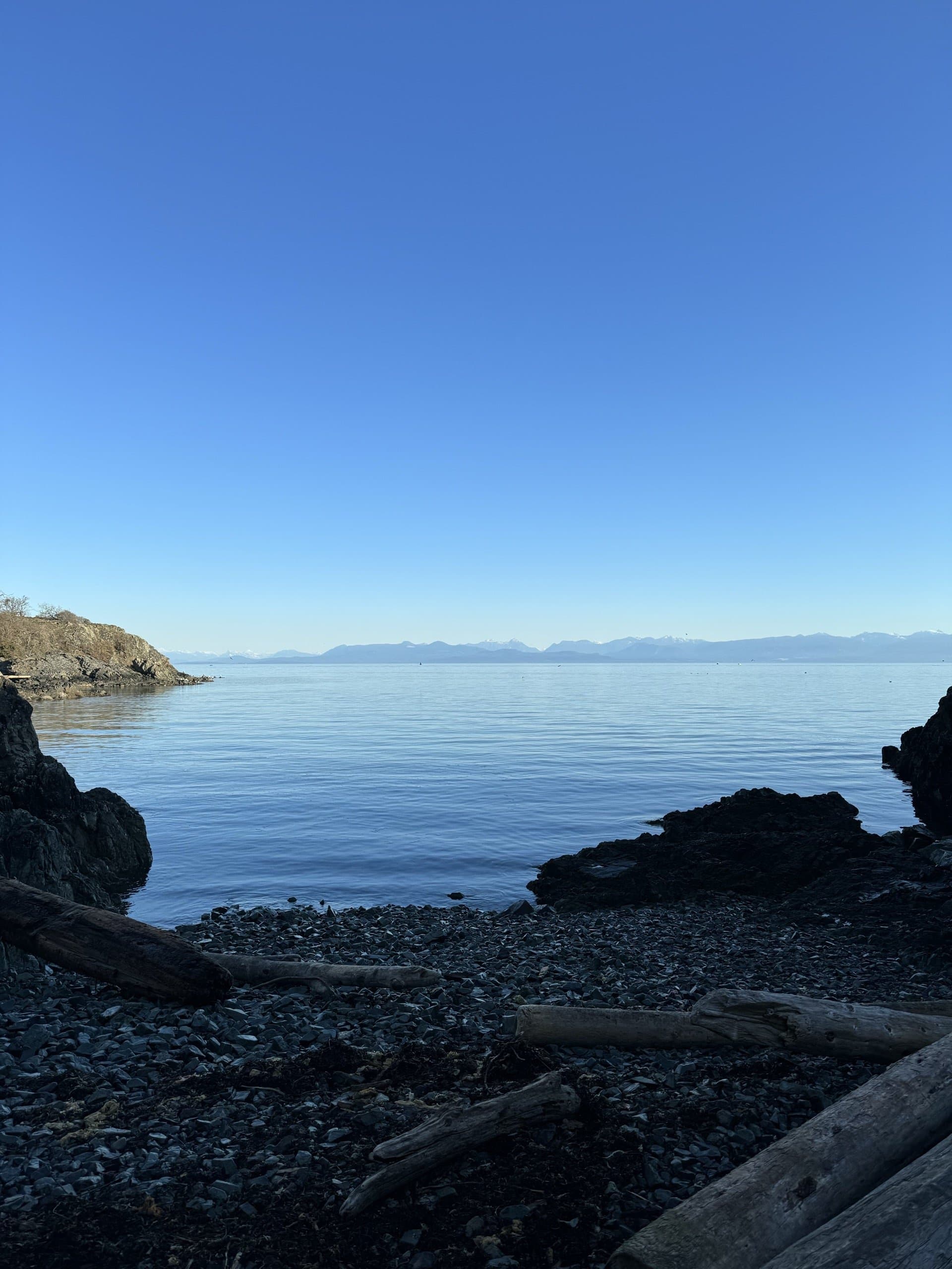 A still, private moment outdoors in the Pacific Northwest.