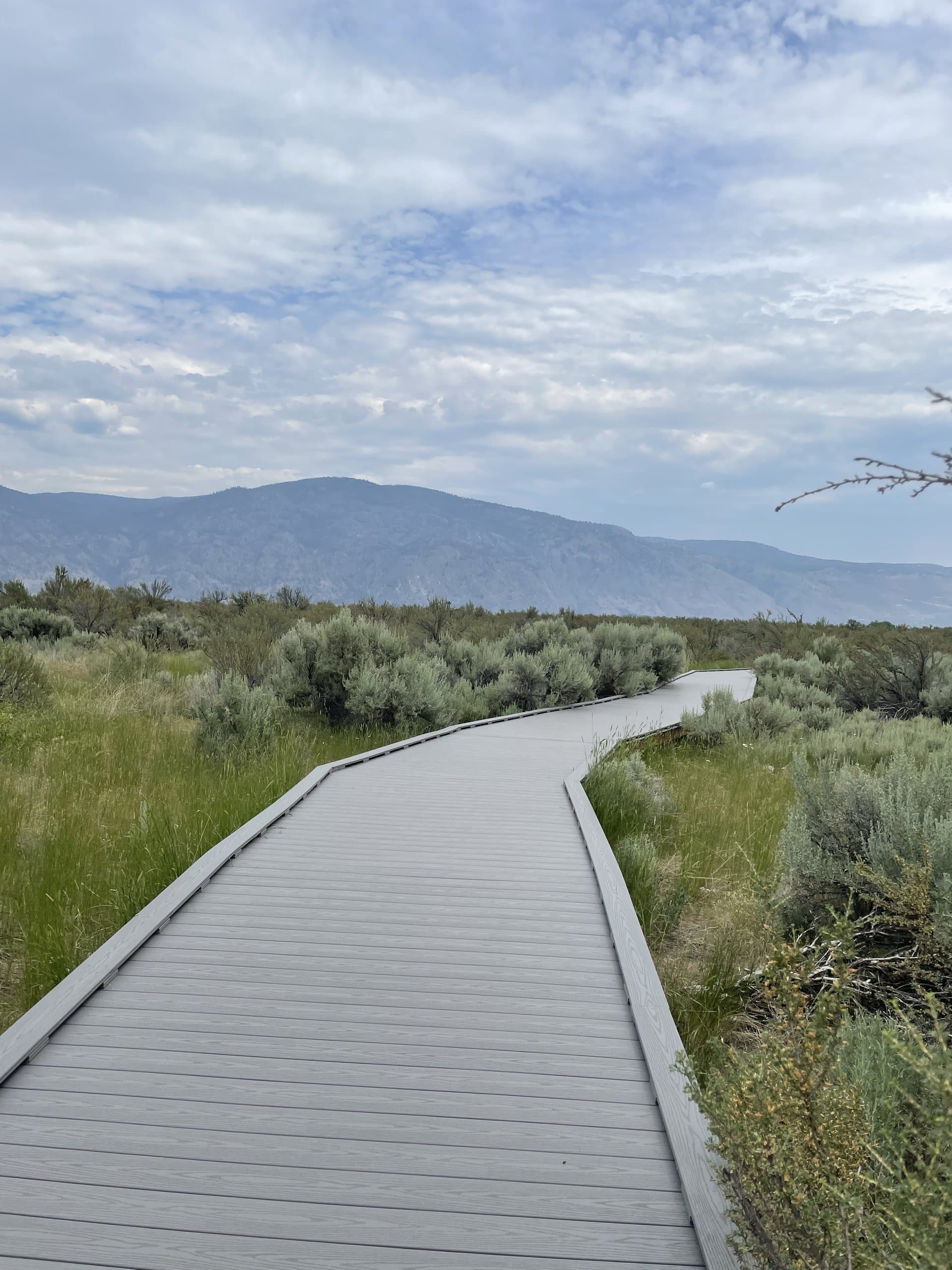 A wooden boardwalk trail leading onward.